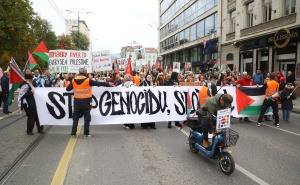Foto: Dž. K. / Radiosarajevo.ba / Protesti za Palestinu
