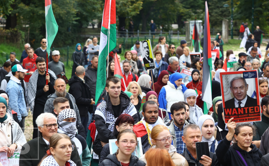 Građani Sarajeva na protestima za slobodnu Palestinu