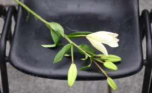 Foto: Dž. K. / Radiosarajevo.ba / Pozorište spremno za komemoraciju Halidu Bešliću