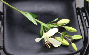 Foto: Dž. K. / Radiosarajevo.ba / Pozorište spremno za komemoraciju Halidu Bešliću