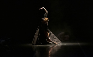 Foto: Velija Hasanbegović / Balet "Bolero"