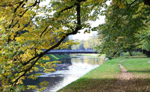 Foto: E. L. / Radiosarajevo.ba / Jesen u Sarajevu
