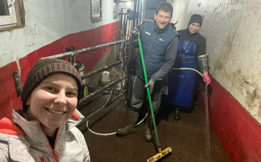 Zineta Memić vlasnica farme krava u Cazinu