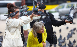 Foto: Dž. K. / Radiosarajevo.ba / Petak u Sarajevu
