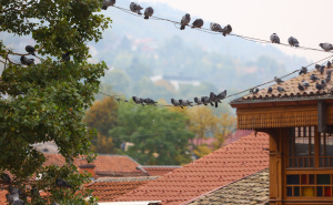 Foto: Dž. K. / Radiosarajevo.ba / Petak u Sarajevu