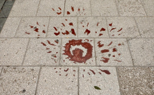 Foto: Dž.K. / Radiosarajevo.ba / Sarajevske ruže