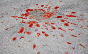 Foto: Dž.K. / Radiosarajevo.ba / Sarajevske ruže