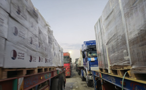 Foto: AA / Humanitarna pomoć za Gazu