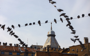 Foto: Dž. K. / Radiosarajevo.ba / Sunce izmamilo građane u šetnju