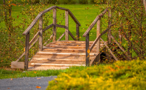 Foto: Boris Trogrančić / "Zvjezdana noć" kod Visokog