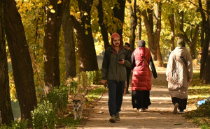 Foto: N.G./Radiosarajevo.ba / Jesen na Vilsonovom šetalištu