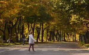 Foto: N.G./Radiosarajevo.ba / Jesen na Vilsonovom šetalištu