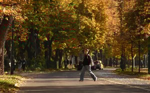 Foto: N.G./Radiosarajevo.ba / Jesen na Vilsonovom šetalištu