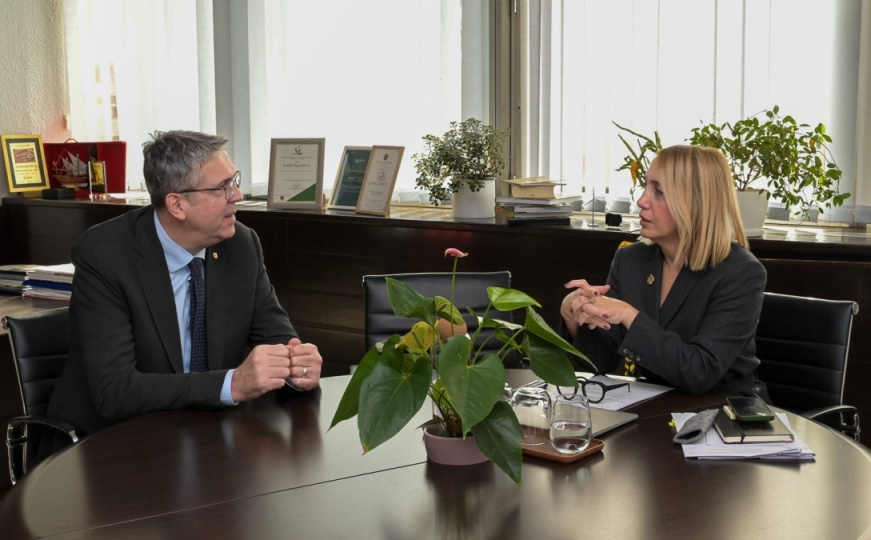 Samir Avdić i Nasiha Pozder