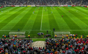 Foto: Ustupljena fotografija / Nermin Bašić