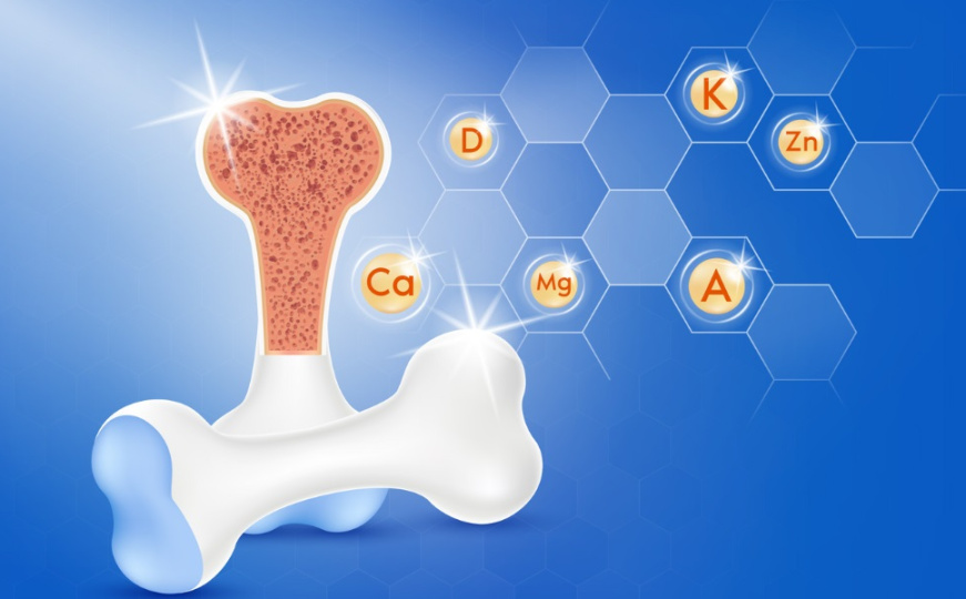 Osteoporoza /Ilustracija