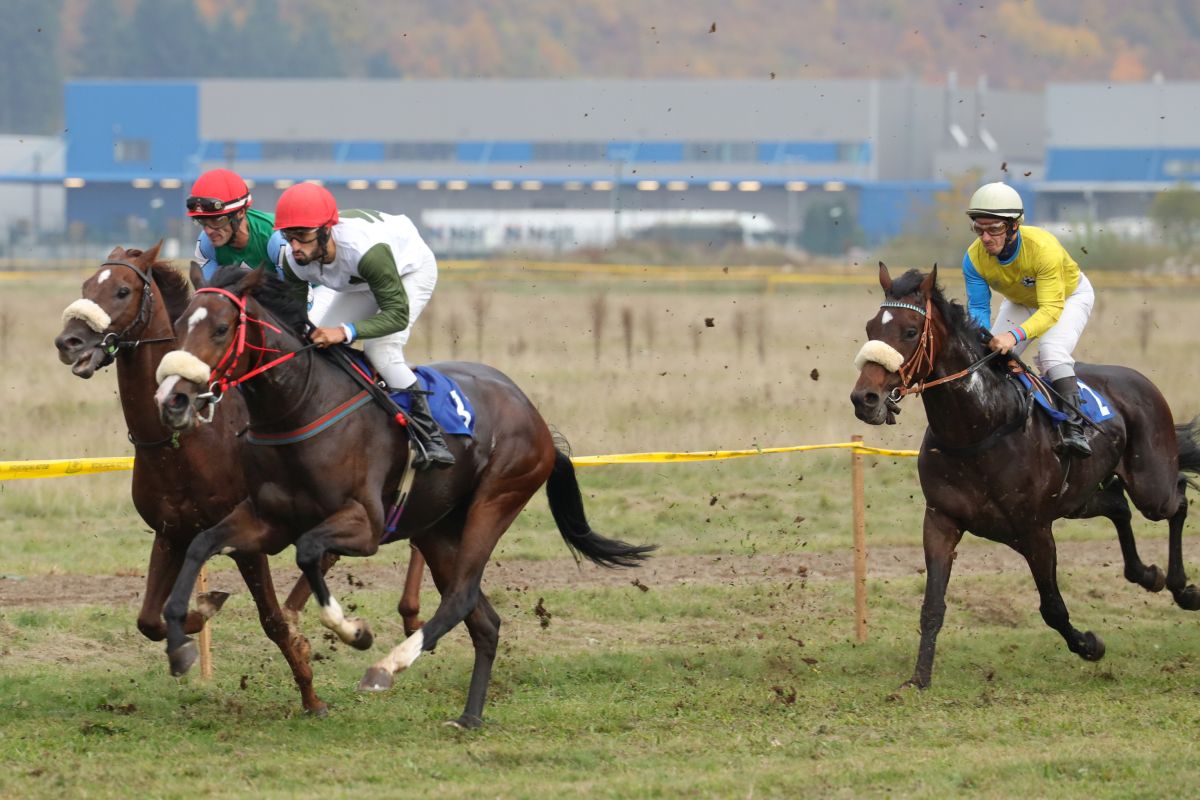 Održane Međunarodne konjičke trke
