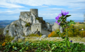 Foto: Anadolija  / Tvrđava Srebrenik