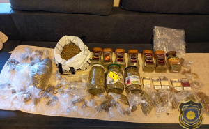 Foto: FUP / Akcija FUP-a