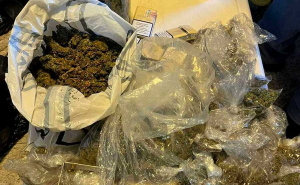 Foto: FUP / Akcija FUP-a