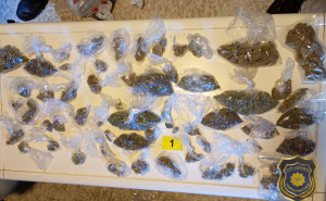 Foto: FUP / Akcija FUP-a