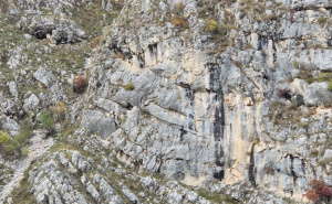 Foto: GSS / Spašavanje psa u Livnu