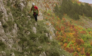 Foto: GSS / Spašavanje psa u Livnu