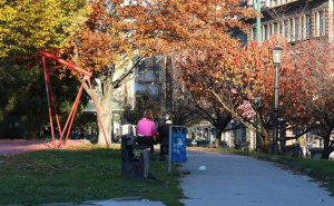 Foto: E. L. / Radiosarajevo.ba / Park Hastahana