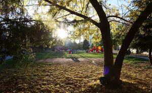 Foto: E. L. / Radiosarajevo.ba / Park Hastahana