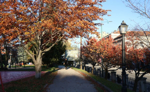 Foto: E. L. / Radiosarajevo.ba / Park Hastahana