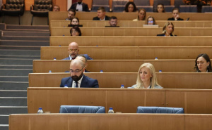 Foto: E. L. / Radiosarajevo.ba / Hitna sjednica Predstavničkog doma Parlamentarne skupštine BiH