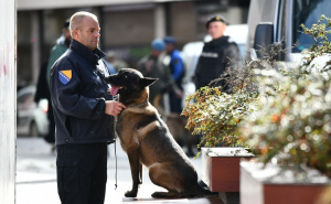 Foto: A. K. / Radiosarajevo.ba / Pokazna vježba K9 jedinice