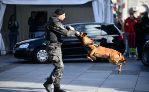 Foto: A. K. / Radiosarajevo.ba / Pokazna vježba K9 jedinice