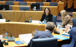 Foto: E. L. / Radiosarajevo.ba / Ministarski forum EU - Zapadni Balkan u Sarajevu