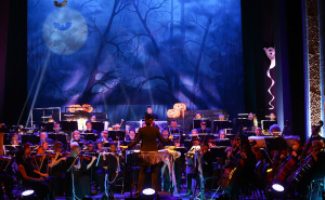 Foto: Dž.K. / Radiosarajevo.ba / Koncert za Halloween u Narodnom pozorištu Sarajevo