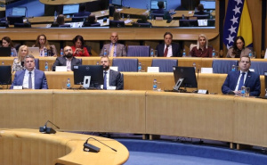 Foto: A. K. / Radiosarajevo.ba / Sjednica Doma naroda PS BiH