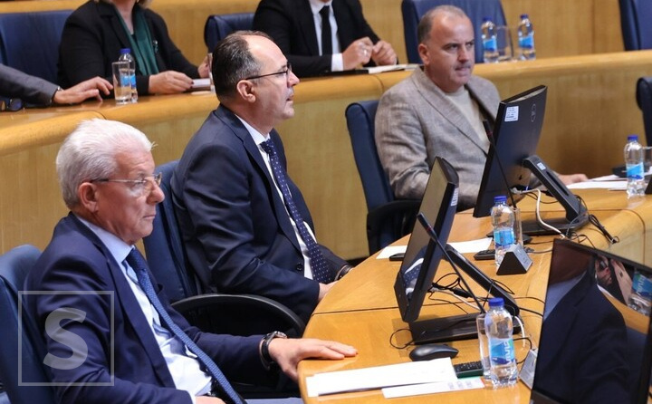 Sjednica Doma naroda PS BiH