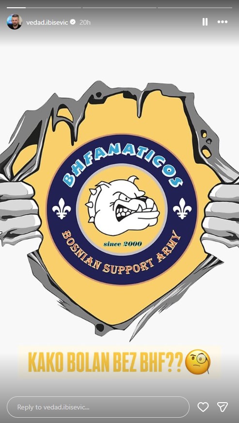 Story Vedada Ibiševića