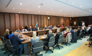 Foto: E. L. / Radiosarajevo.ba / Okrugli sto - asistivna pomagala