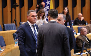 Foto: E. L. / Radiosarajevo.ba / Sjednica Doma naroda PSBiH