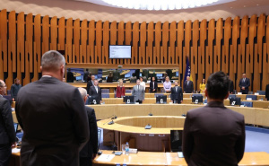 Foto: E. L. / Radiosarajevo.ba / Sjednica Doma naroda PSBiH