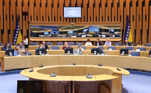 Foto: E. L. / Radiosarajevo.ba / Sjednica Doma naroda PSBiH