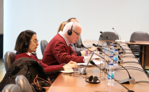 Foto: E. L. / Radiosarajevo.ba / Sastanak Vijeća nacionalnih manjina BiH