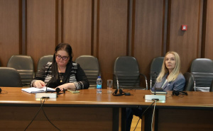 Foto: E. L. / Radiosarajevo.ba / Sastanak Vijeća nacionalnih manjina BiH