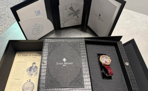 Foto: UIO BiH / Oduzeti satovi