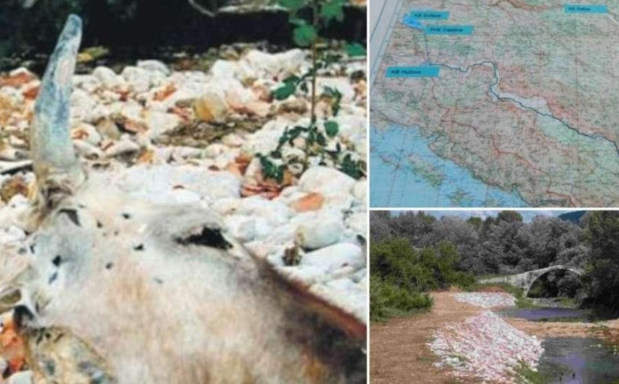 Godinama upozoravamo na dramatične posljedice ovog projekta