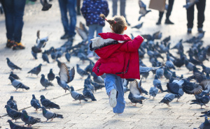 Foto: Dž.K. / Radiosarajevo.ba / Šetnja Sarajevom