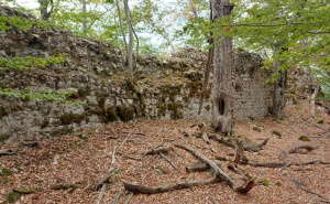 Foto: Bassania / Barakov grad