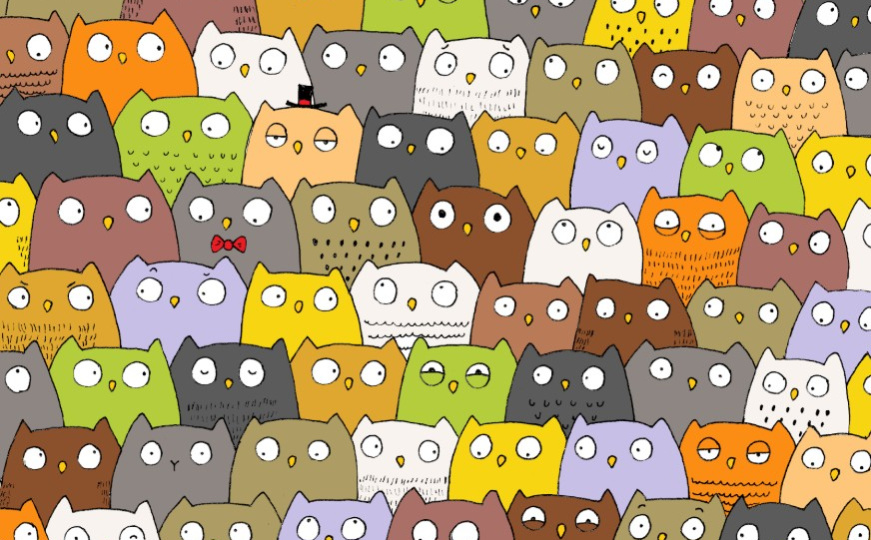 Sova se sakrila među mačke