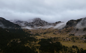 Foto: Karton revolucija / Gornji tok Neretve